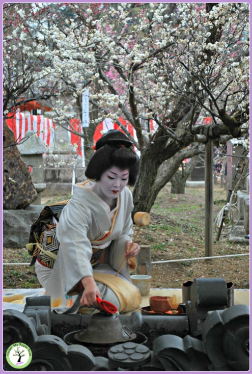 Maïko faisant chauffer l'eau au cours de la cérémonie du thé organisée lors du Baika-Sai au Kitano Temangu, Kyoto (2011)