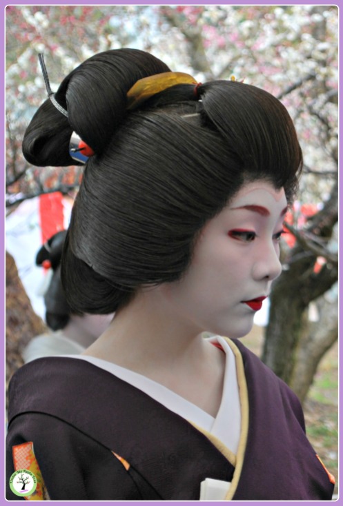 Maïko présente lors du Baika-Sai au Kitano Temangu, Kyoto (2011)